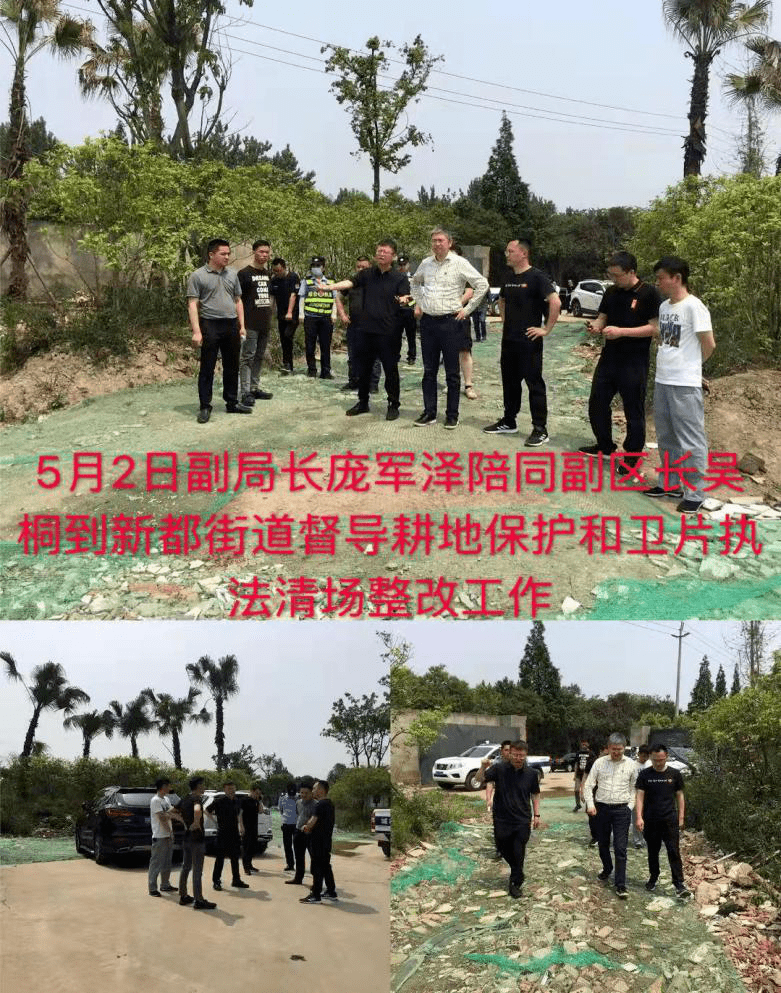 烟台环保督查最新动态，消息汇总与观点分析