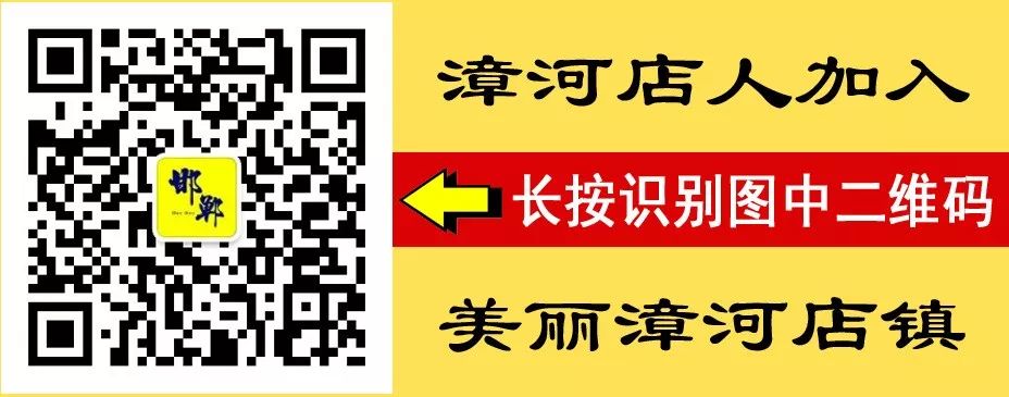 成安大树湾最新动态探索与体验步骤指南