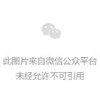 第685页