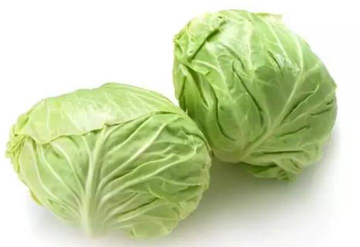 今日包菜价格行情更新