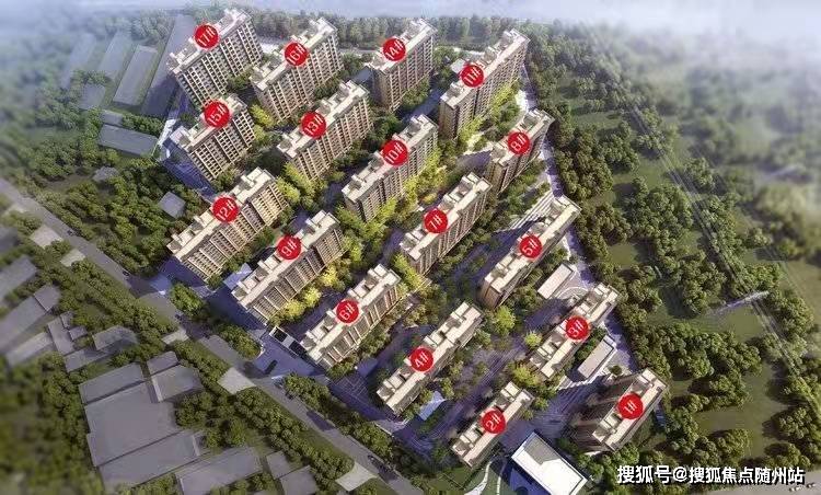 莒南司机招聘最新动态，科技引领智能新纪元，驾驭未来之旅