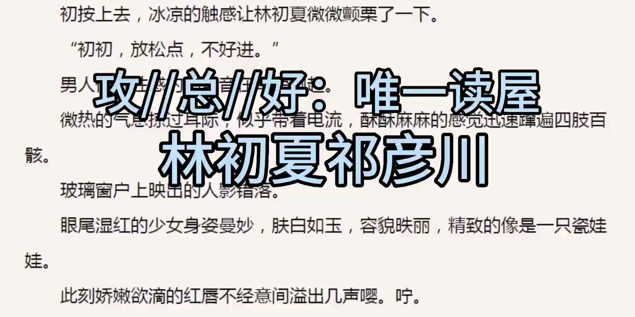 林初俏顾北城，温馨日常的欢乐时光最新章节介绍