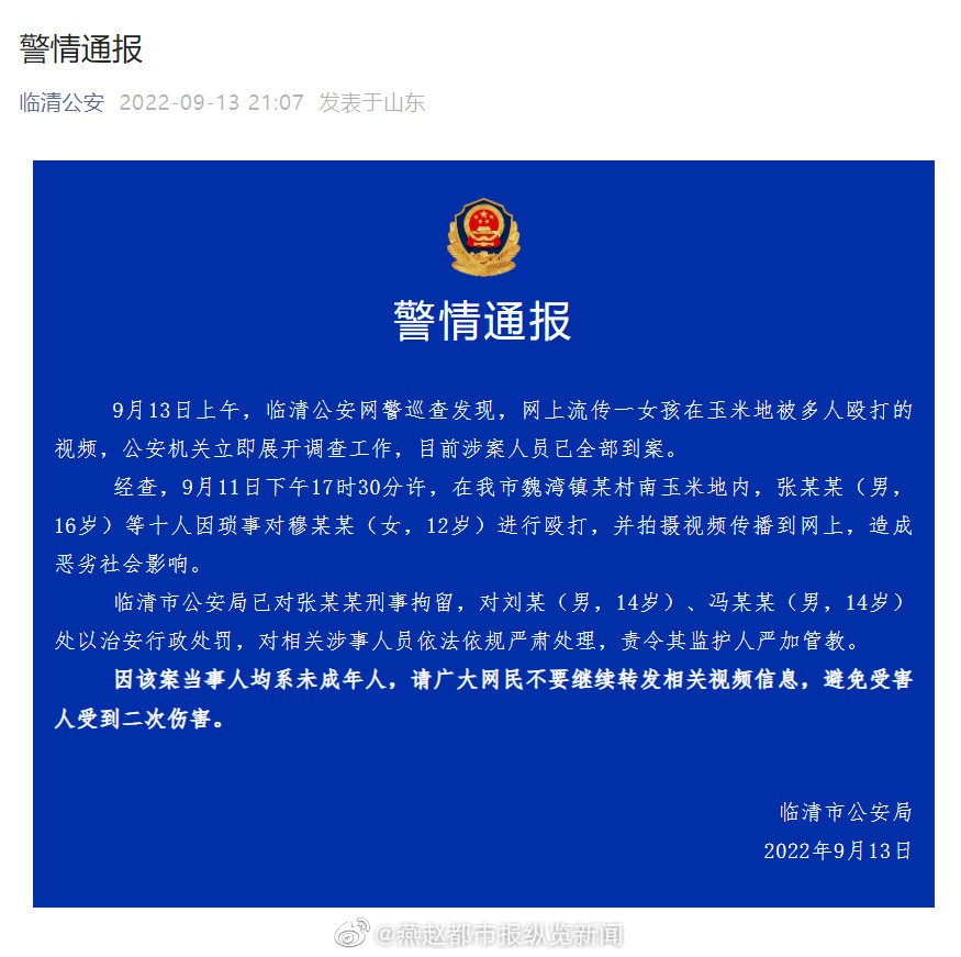 临清最新案件背后的温暖故事，日常点滴显真情