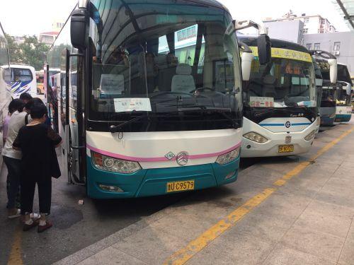 高铁停运意外探秘，小巷特色小店之旅