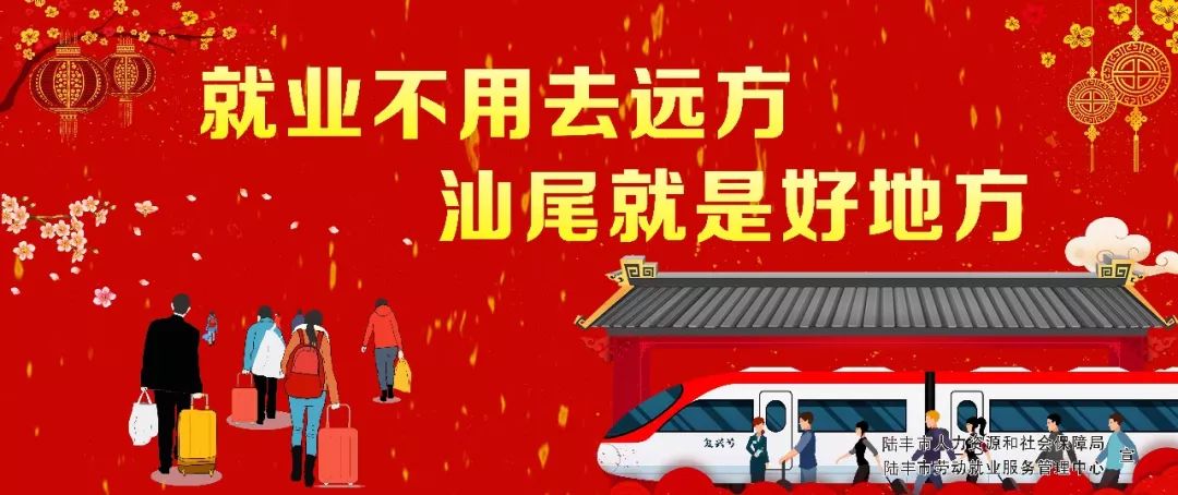 陆丰最新招聘观点论述，探寻职位与人才的完美匹配